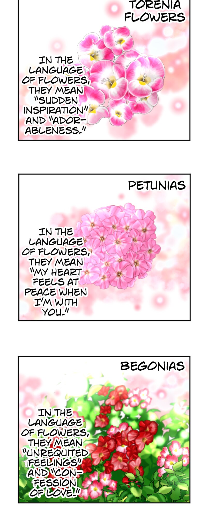 60362268 800 2000 265378