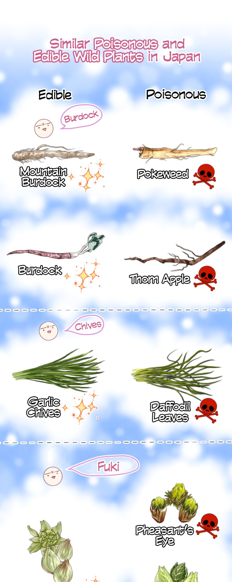 60362289 800 2000 204992